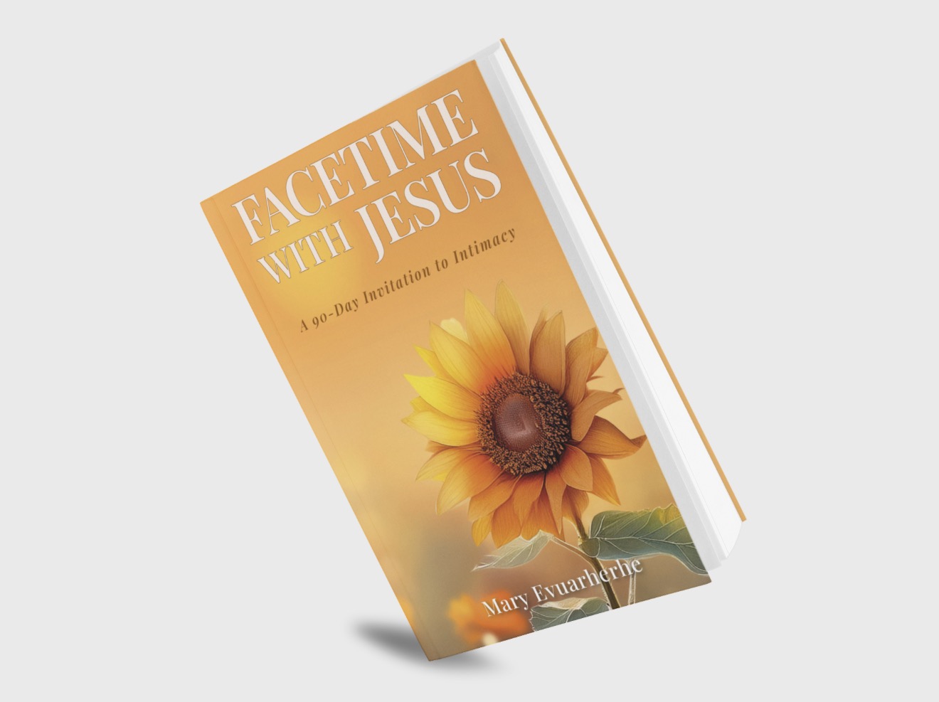 FaceTime With Jesus - A 90-Day Invitation to Intimacy